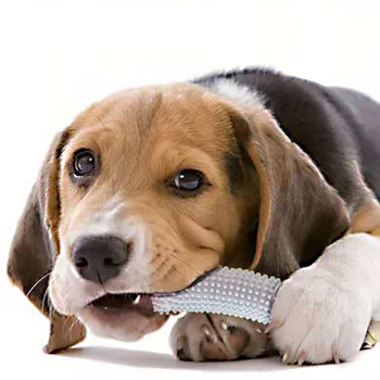 Igrače za pse Žvečiti TPR Igrače Smešno Trn Kumare Obliko TPR Molarno Žvečiti Igrače za Pse Interaktivno Usposabljanje za Čiščenje Zob Nego